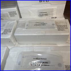 Big Hawthorne Budweiser Holiday Express Train Set Christmas Train Set 10 Cars