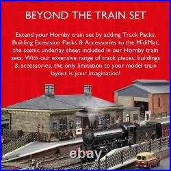 Electric Christmas Tree Train Set Lights Sound Express Locomotive